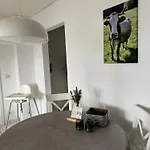 Bergveilchen 631 Im Oberallgaeu * 米森-维尔哈姆斯