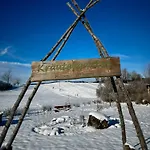 Bergveilchen 631 Im Oberallgaeu * 米森-维尔哈姆斯