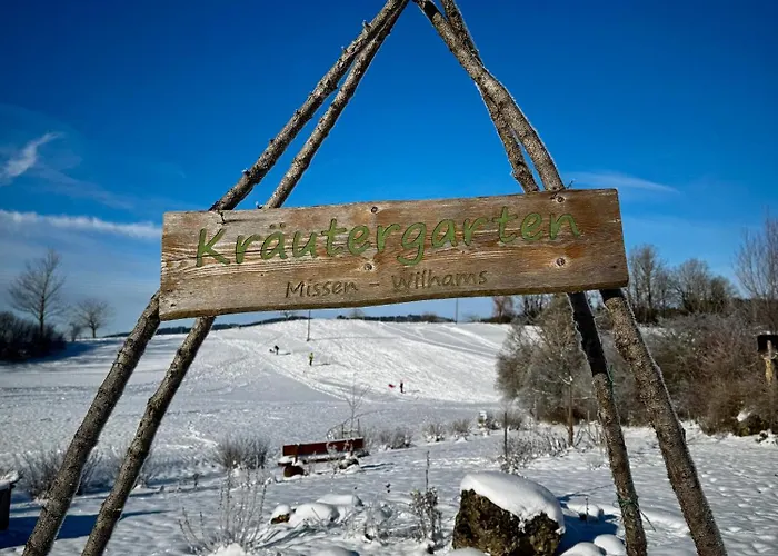 Bergveilchen 631 Im Oberallgaeu * ミッセン・ヴィルハムス
